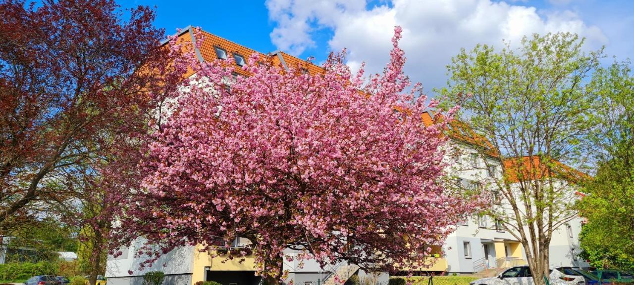 Moderne Wohlfuehlferienwohnung In Hildburghausen Exterior foto